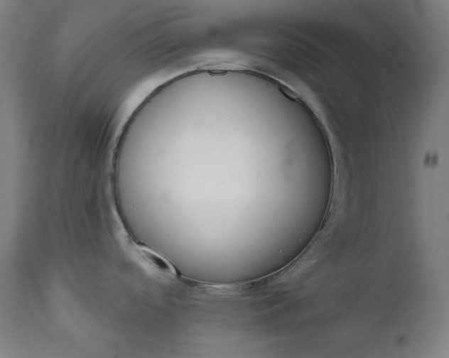 X0000111611488200907311127