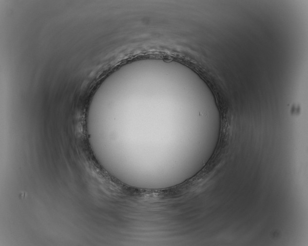 X0000111611490200907311126
