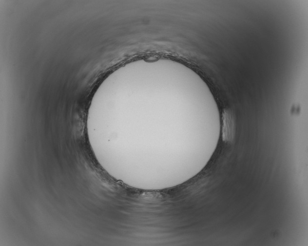 X0000111611491200907311126