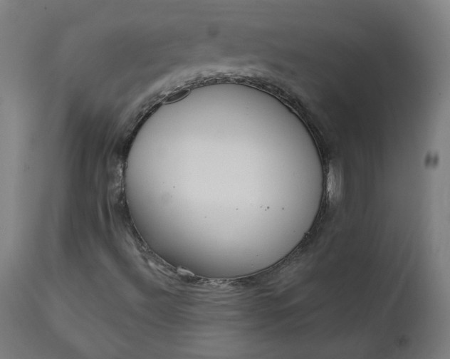 X0000111611492200907311126