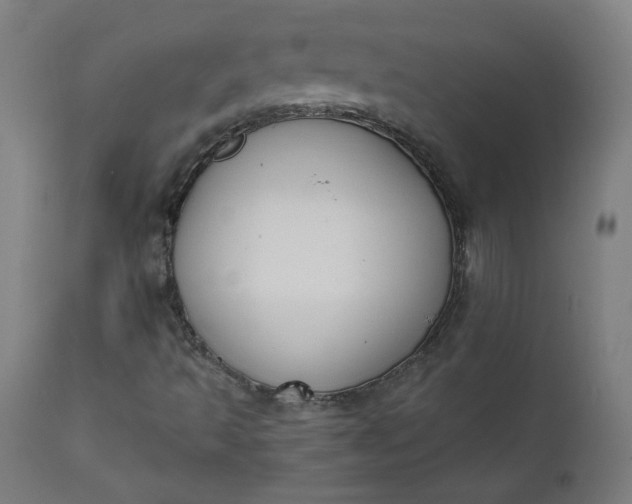 X0000111611493200907311126