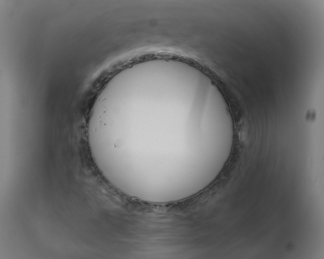 X0000111611495200907311126