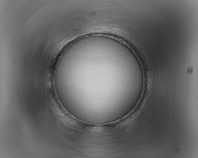 X0000111611497200907311127
