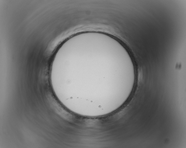 X0000111611498200907311127