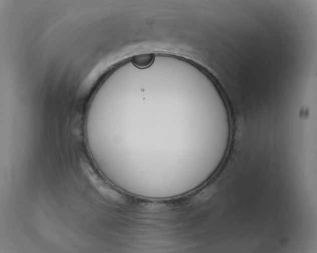 X0000111611499200907311127
