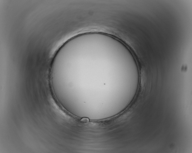 X0000111611500200907311127