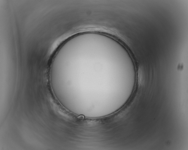 X0000111611501200907311127