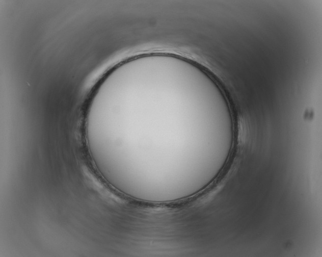 X0000111611502200907311127