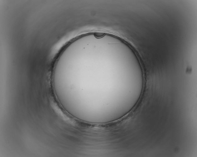 X0000111611503200907311127