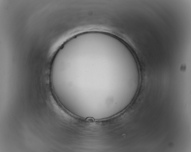 X0000111611504200907311127