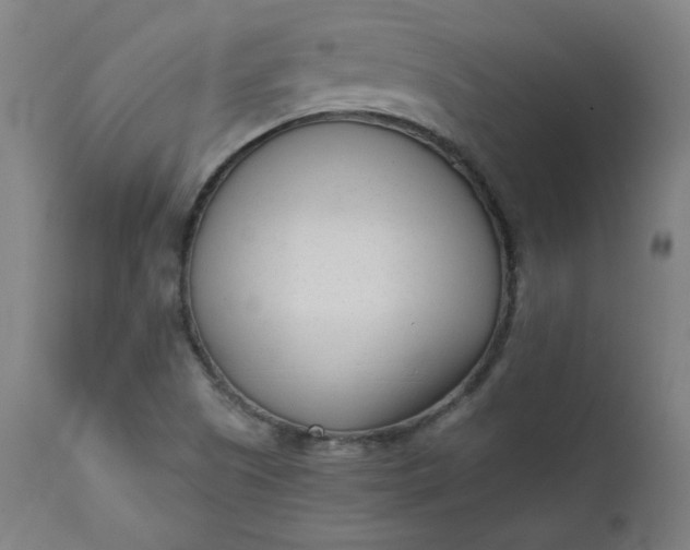 X0000111611505200907311127