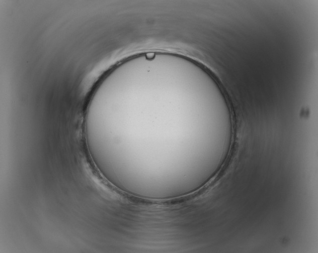 X0000111611507200907311127
