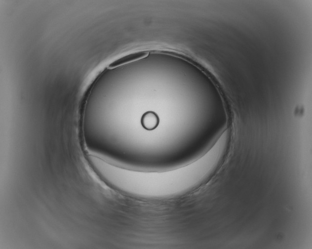 X0000111611508200907311127