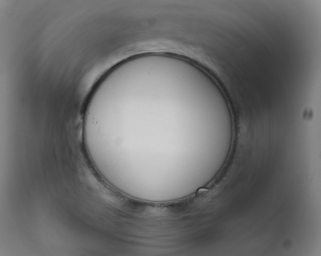 X0000111611509200907311127