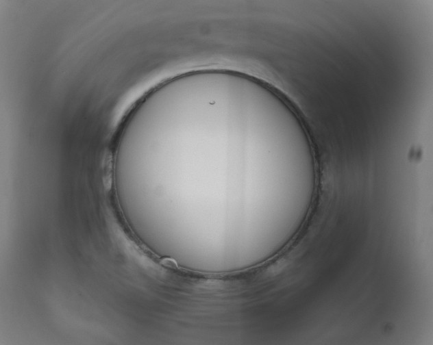 X0000111611510200907311127