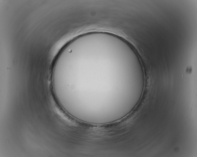 X0000111611511200907311127
