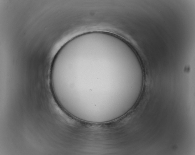 X0000111611512200907311127