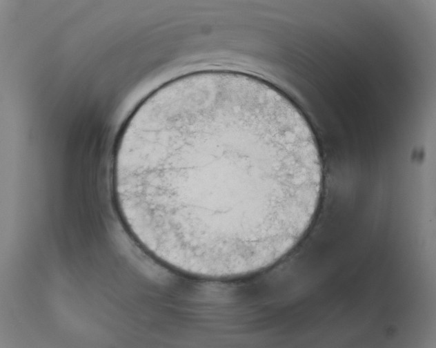 X0000111611514200907311127