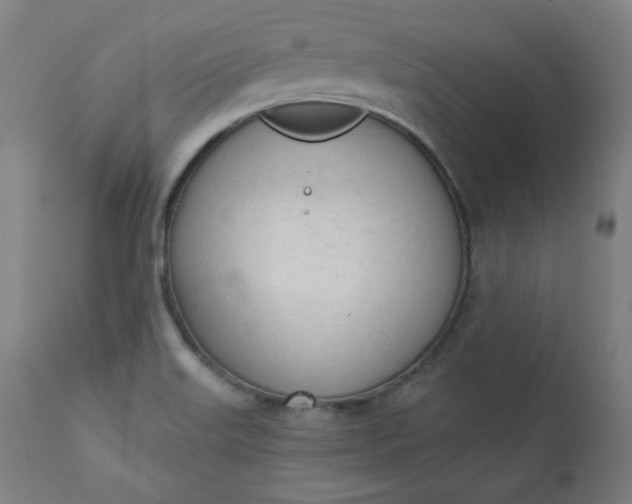 X0000111611515200907311127