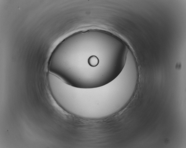 X0000111611516200907311127