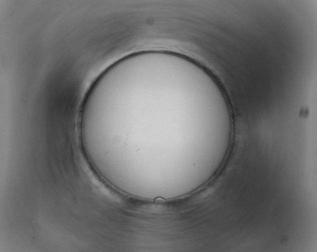 X0000111611517200907311127