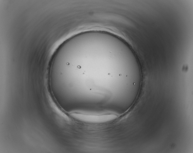 X0000111611518200907311127