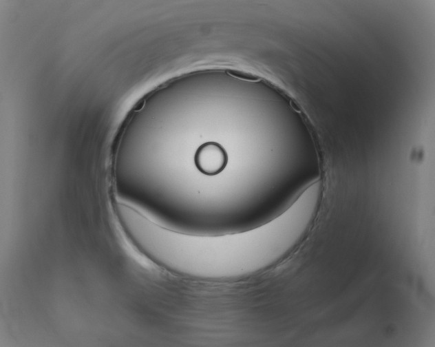 X0000111611519200907311127