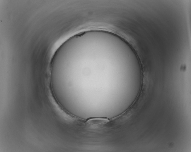X0000111611520200907311127