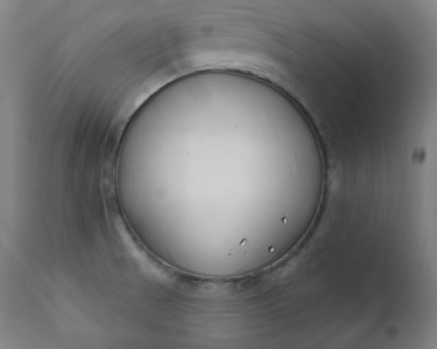X0000111611521200907311127