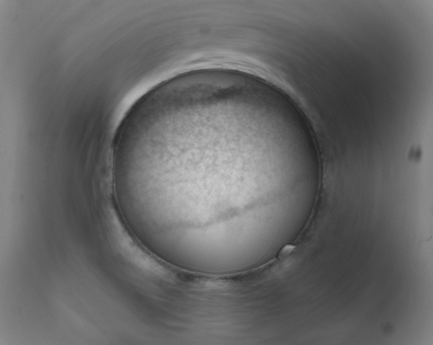 X0000111611522200907311127