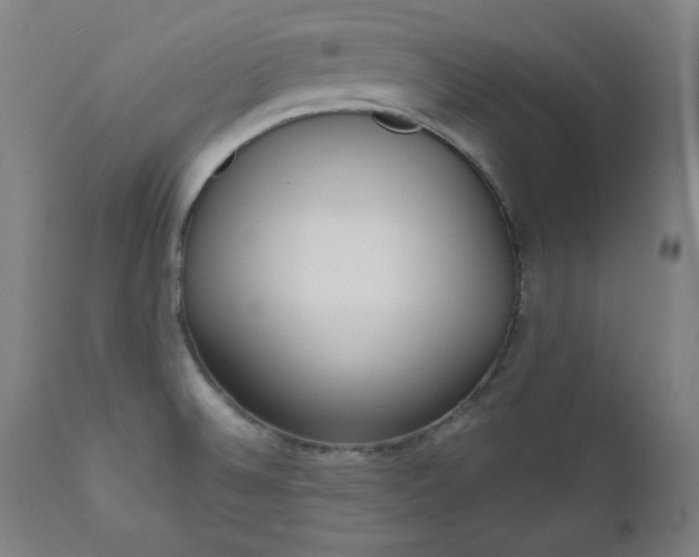 X0000111611524200907311127