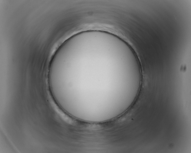 X0000111611525200907311127