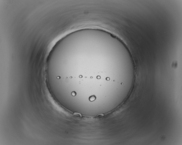 X0000111611526200907311127