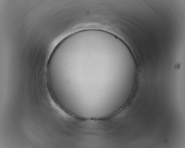 X0000111611527200907311127