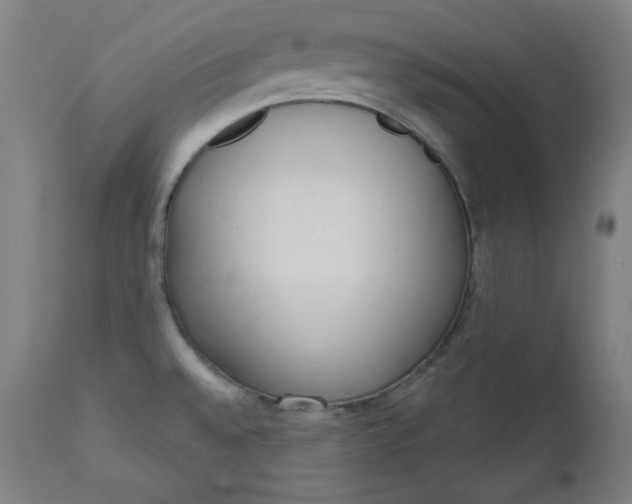 X0000111611528200907311127
