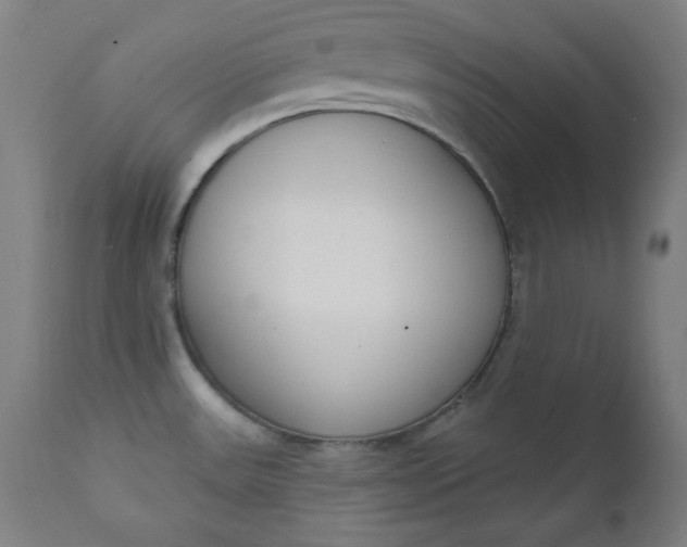 X0000111611531200907311127