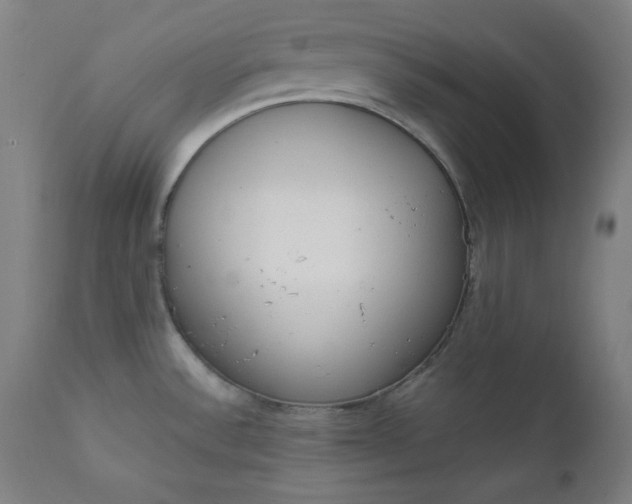 X0000111611532200907311127