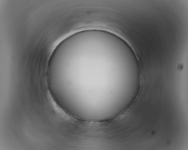 X0000111611534200907311127