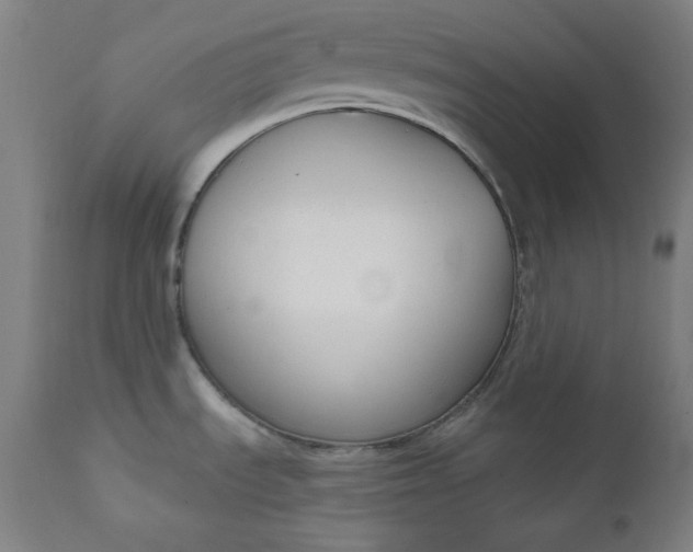 X0000111611535200907311127