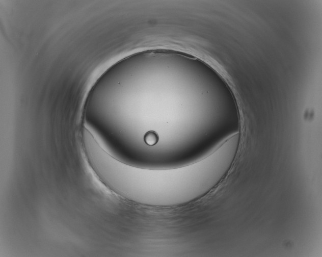 X0000111611536200907311127