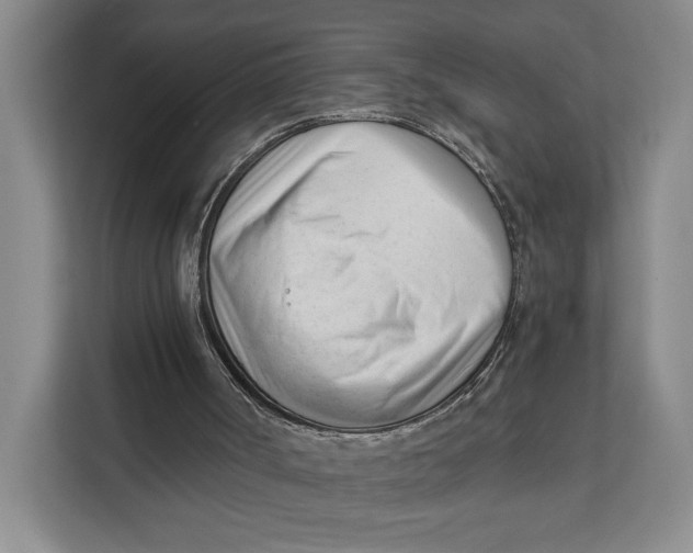 X0000111610002200908071340
