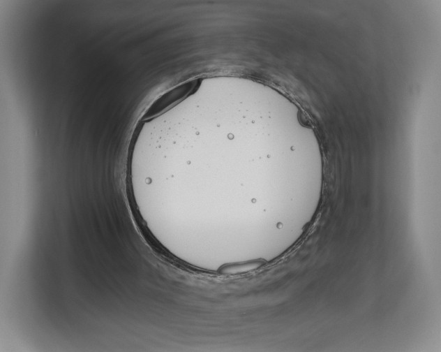 X0000111610003200908071340
