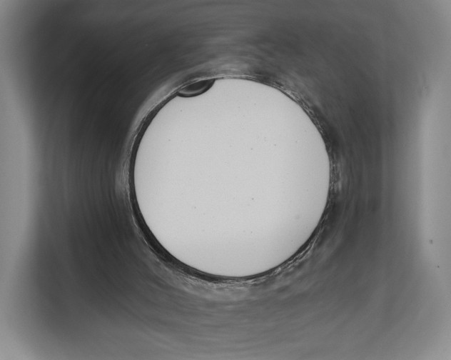 X0000111610004200908071340