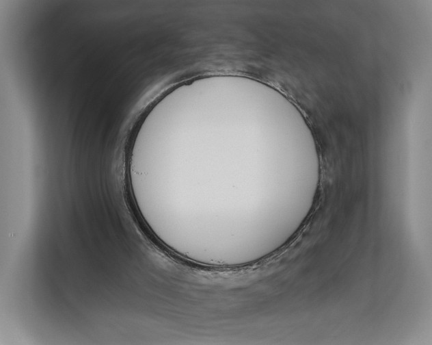 X0000111610005200908071340