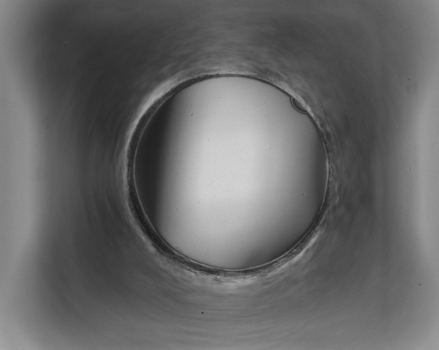 X0000111610008200908071340