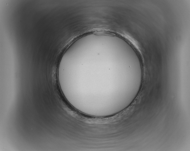 X0000111610009200908071340