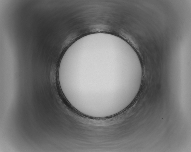 X0000111610010200908071340