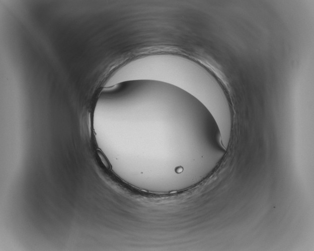 X0000111610013200908071340