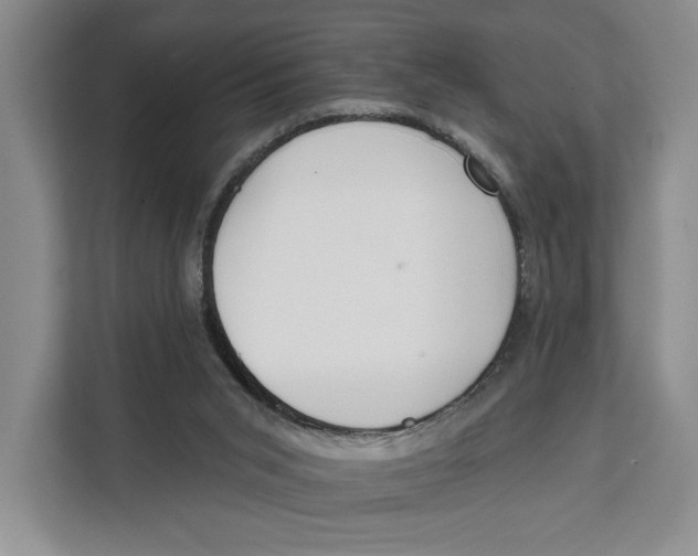 X0000111610015200908071340