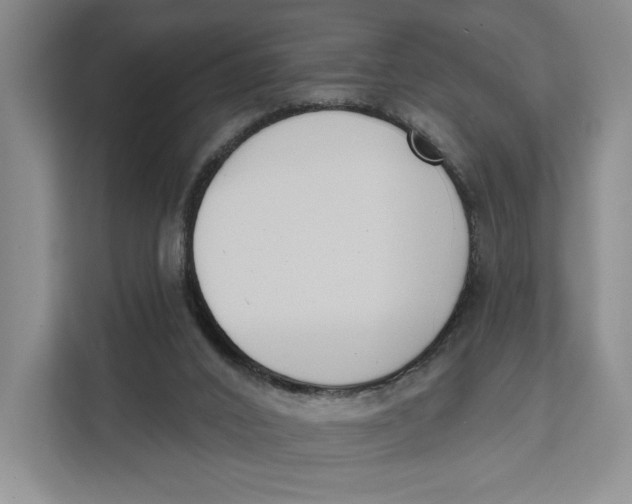 X0000111610016200908071340